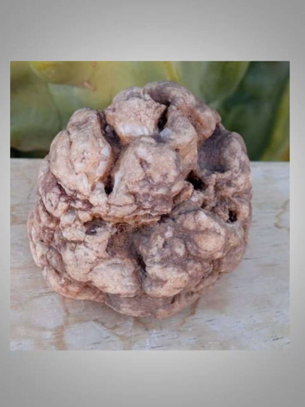 pinecone shaped rock stone - Picture 2 of 5